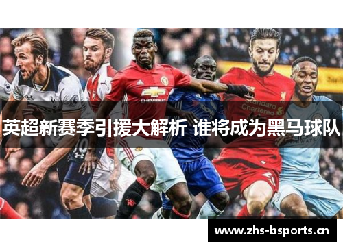 英超新赛季引援大解析 谁将成为黑马球队